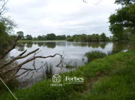 EXCEPTIONNEL TERRITOIRE DE CHASSE DE 120 HECTARES - 10113MO