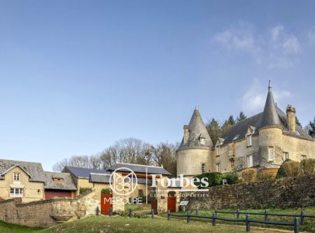 ARDENNES – CHÂTEAU, DEPENDANCES ET PARC 6.5HA - 80626PI