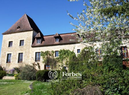 PROCHE BERGERAC, CHÂTEAU 1 500M², 44HA - 900672bx