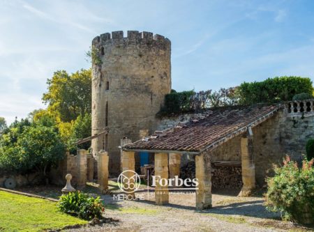 CHATEAU MEDIEVAL INSCRIT AU PATRIMOINE HISTORIQUE - 8693TS