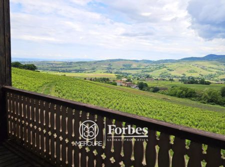 Propriété viticole à fort potentiel dans le Beaujolais – Vue imprenable sur les vignes - 4947LY