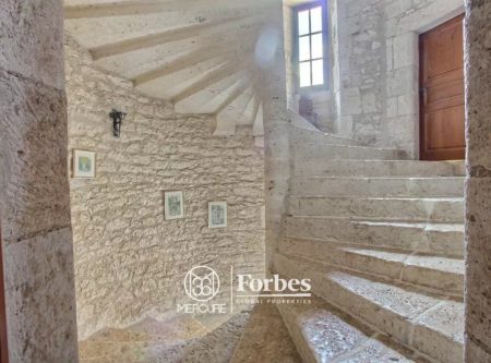 BEAU CHATEAU RENOVE – DEPENDANCES ET PISCINE - 8059TS
