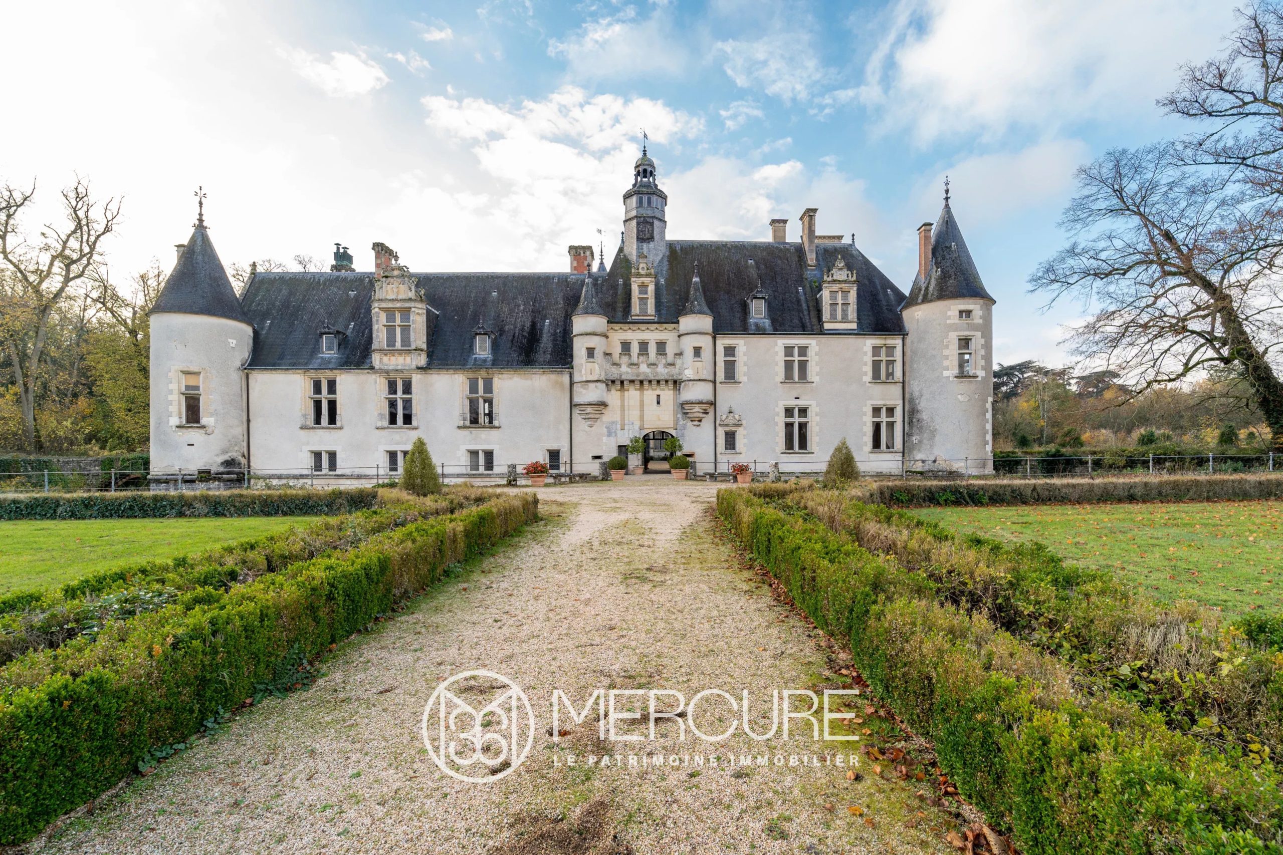 CHATEAU ET NOMBREUSES DEPENDANCES DANS UN PARC DE 24 HECTARES - 20602CL