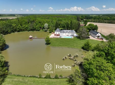 PROPRIETE AVEC ETANG ET MAISONS ANNEXES - 10143PO