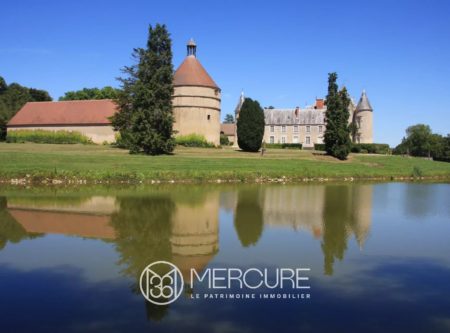 XVI-XIXth CENTURY CHATEAU AND ITS OUTBUILDINGS, ON 44AC PARK WITH POND - 19650CL