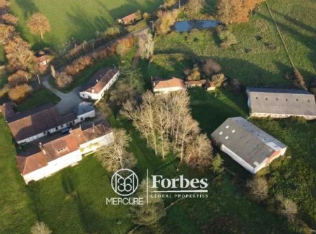 Domaine - 23363