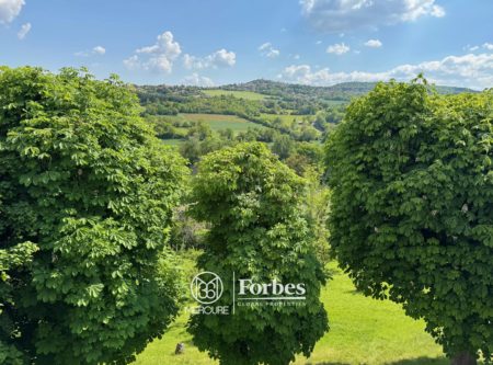 Late 19th century manor house with panoramic views, on 4616m2, 5min from A75 motorway - 21172AU