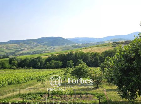Propriété viticole à fort potentiel dans le Beaujolais – Vue imprenable sur les vignes - 4947LY