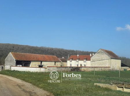 ANCIENNE FERME ENTIEREMENT RENOVEE - 21269MHL