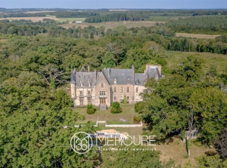 IMPOSING NEOGOTHIC CHATEAU – 1173m² – 30 ROOMS - 20912CL
