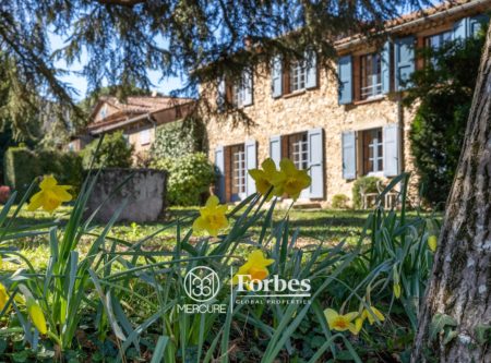 LARGE HOUSE IN A PARK IN THE CITY CENTRE - 8769TS