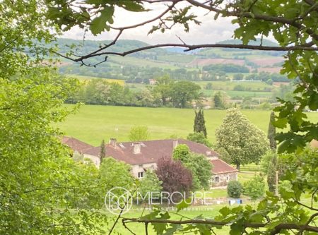 PROPERTY 40 HA – 17 BOXES – WOOD MEADOWS AND SWIMMING POOL – PENNE- D’AGENAIS (47) - 900973bx