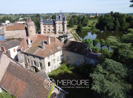 Face au château médiéval, à son étang et parc, propriété de charme avec dépendances - 21324VA
