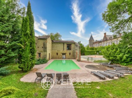 South of France, furnished chateau on 9 ha - 9016TS