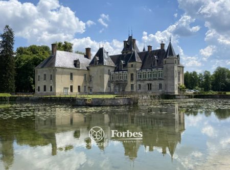 Château XVII-XIXèmes siècles à rénover sur environ 42 hectares - 1748EL