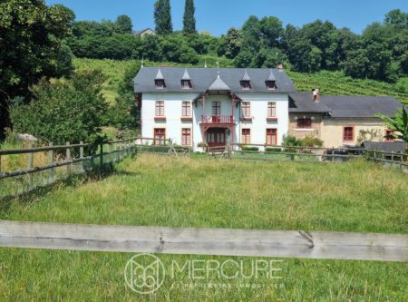 EQUESTRIAN ESTATE ON THE JURANCON HILLSIDES - 901060bx