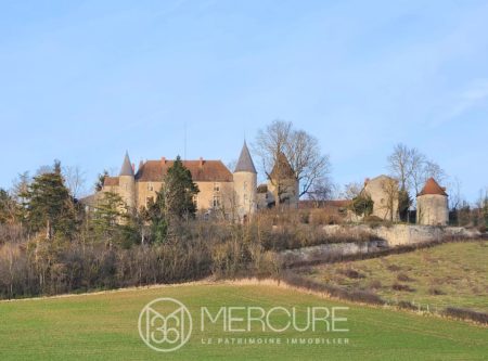 ALLIER, DOMINANT LA VALLEE DE LA SIOULE  AUTHENTIQUE CHATEAU XIII-XVIIeme ET SES DEPENDANCES - 21310AU