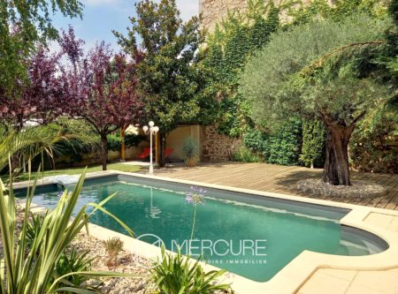 Mansion in Annonay - 4978LY