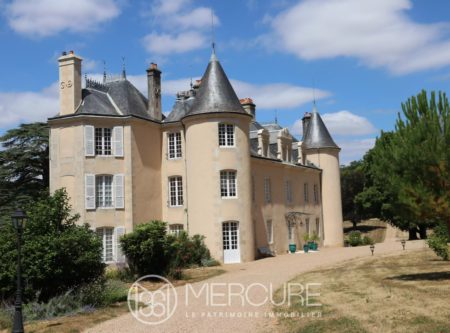 SPLENDID LISTED CHATEAU SET IN 46 HECTARES - 10188po