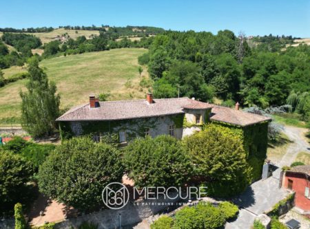 Splendid Renaissance Château – Historic property in the Monts du Lyonnais - 4956LY