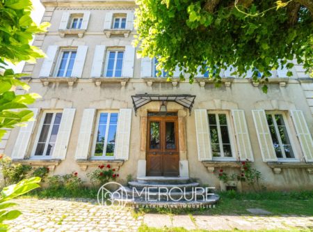 Beautiful manor house in Anneyron - 4931LY