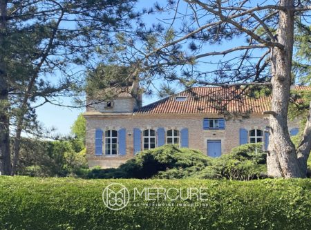 NEAR AGEN – LOVELY TRADITIONAL HOUSE WITH SWIMMING POOL - 901046bx