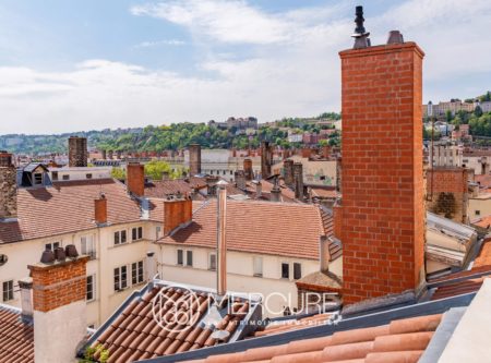 FOR RENT – FURNISHED APARTMENT – LYON 2° – BELLECOUR - 4525LY