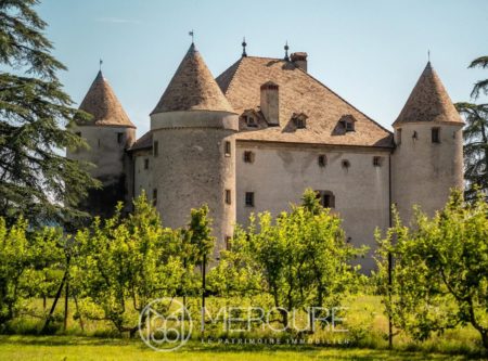 HAUTE-SAVOIE  RARE CHATEAU DU XVème s à finir de rénover - 4750LY