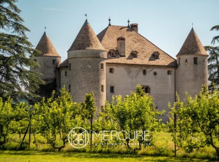 HAUTE-SAVOIE  RARE CHATEAU DU XVème s à finir de rénover - 4750LY