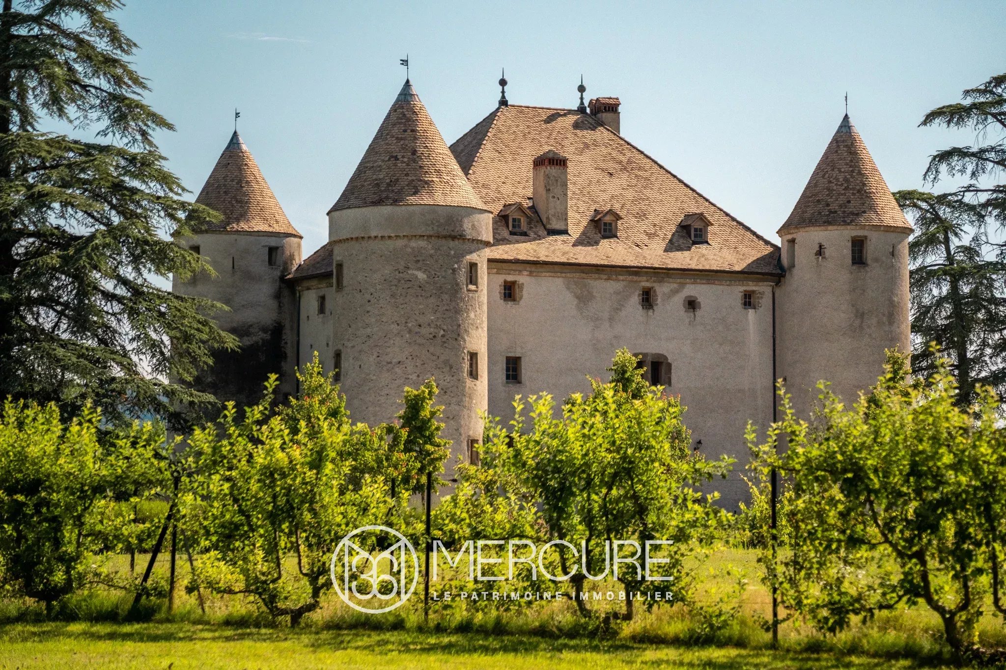 HAUTE-SAVOIE  RARE CHATEAU DU XVème s à finir de rénover - 4750LY