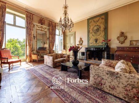 NANTES ÎLE FEYDEAU – RECEPTION APARTMENT IN AN 18th-CENTURY BUILDING – 234.54 m² (234.54 sq.ft.) - 3058