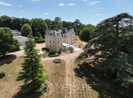 A VENDRE, CHATEAU RÉNOVÉ SUR 46 Ha - 10188po