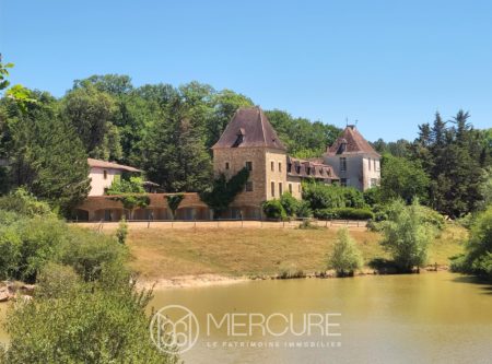 PROCHE BERGERAC, CHÂTEAU 1 500M², 44HA - 900672bx
