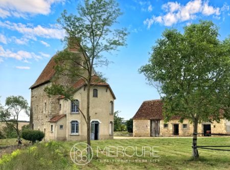 PROPRIETE DU XVe SIECLE AU PASSÉ HISTORIQUE - 10042PO