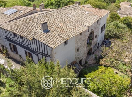 BEAUTIFUL MEDIEVAL HOUSE IN A PRETTY VILLAGE - 9157TS