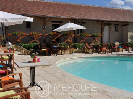 PROPRIETE D’ACCUEIL TOURISTIQUE - 10178PO
