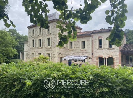 VILLA AND NATURE IN AGEN - 900993bx