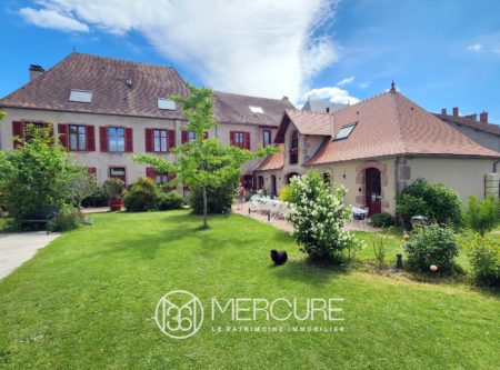 ALLIER, in a large tourist village, 19th century manor house in excellent condition on 2130 sqm. - 21281AU