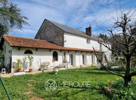Town house with apartment - 23269