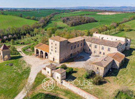 MAGNIFIQUE CHATEAU MEDIEVAL DU XV EME - 9135TS