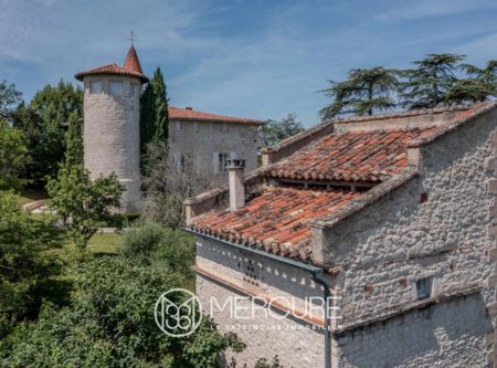 SUPERBE PROPRIETE XVIEME – PIGEONNIER – PISCINE - 9093TS