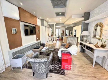 IMMEUBLE MEUBLÉ 336 M² – BELLES PRESTATIONS - 9680PO