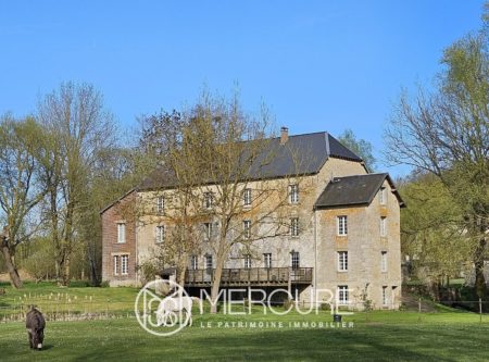 Between Reims and Soissons – Former mill and outbuildings in a 4.2ha park - 80621P2