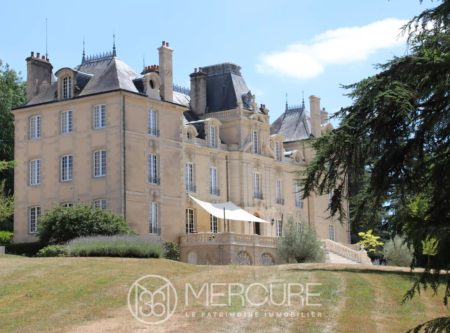 SPLENDID LISTED CHATEAU SET IN 46 HECTARES - 10188po