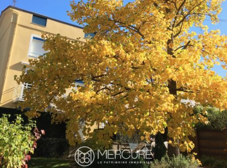 Marivaux district, 245 sqm house with 6 bedrooms and separate apartment - 21017AU