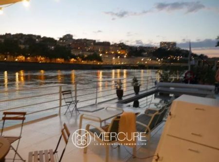 Unique à Lyon : péniche Lyon 6ème Triangle d’Or 180 m² avec terrasse et magnifique piscine - 4984LY