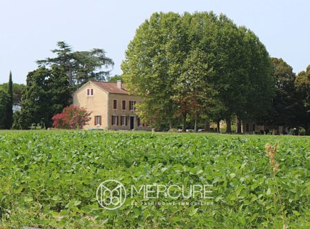 MANOR HOUSE – 32 HECTARES AND OUTBUILDINGS – LOT-ET-GARONNE - 901065bx