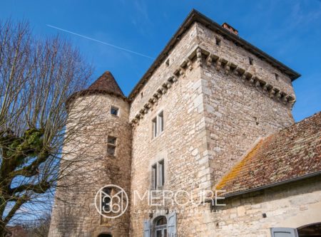CHATEAU XIVEME CLASSE MH – VUE PANORAMIQUE SUR LE LOT - 9122TS
