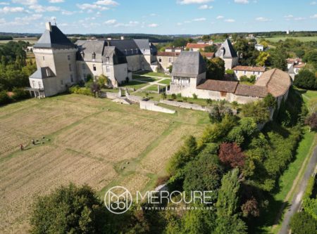CHATEAU EXCEPTIONNEL CLASSÉ M.H. - 10011PO
