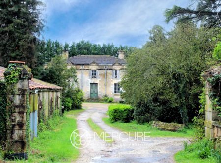 AUTHENTIQUE DOMAINE - 9890PO